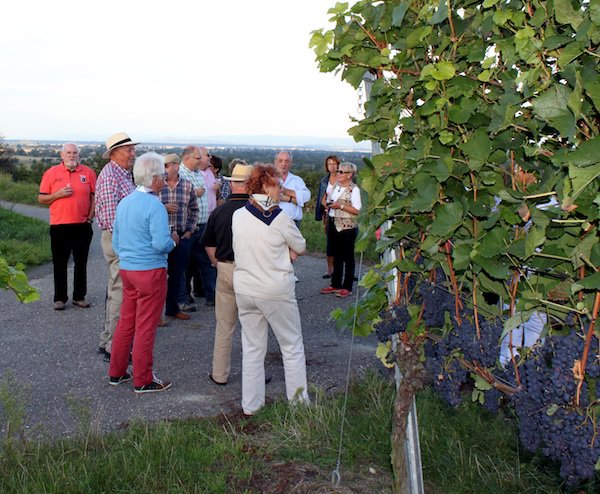 Kaiserstuhl-Ausflug Ehrennarren