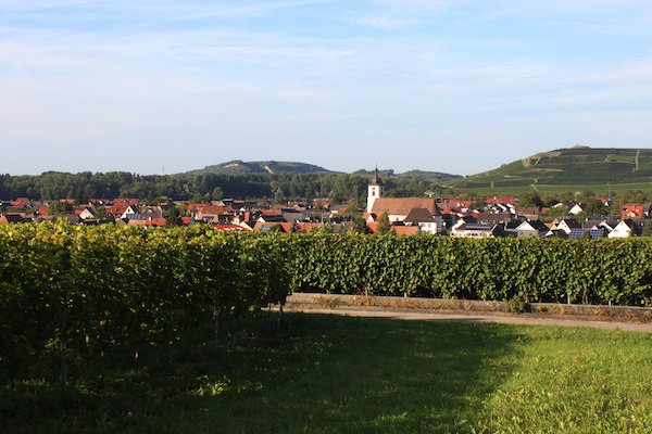 Kaiserstuhl-Ausflug Ehrennarren