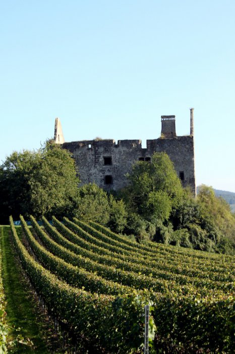 Kaiserstuhl-Ausflug Ehrennarren